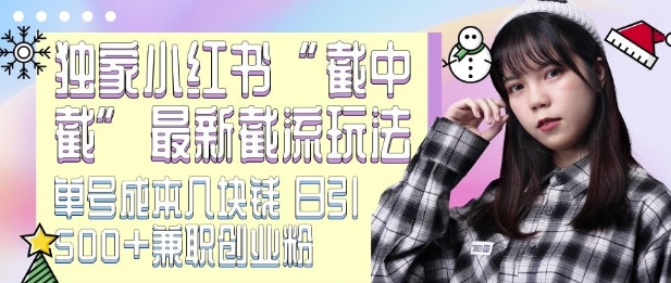 最新小红书截流玩法 独家截中截 单号成本几块钱 日引500+CY粉JZ粉-8U创业网