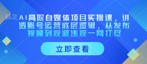 AI高阶自媒体项目实操课，讲透账号运营底层逻辑，从发布视频到规避违规一网打尽-8U创业网
