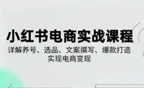 小红书从0-1实操课(2023-2025)，详解养号、选品、文案撰写、爆款打造实现电商变现-8U创业网