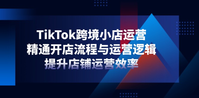 （14369期）TikTok跨境小店运营，精通开店流程与运营逻辑，提升店铺运营效率-8U创业网