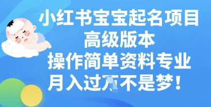 小红书宝宝起名项目高级版本，操作简单，资料专业，月入过W-8U创业网