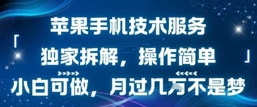 苹果手机技术服务，独家拆解，操作简单，小白可做，月过1W不是梦-8U创业网