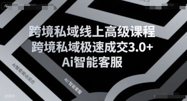 跨境私域线上高级课程，跨境私域极速成交3.0+Ai智能客服-8U创业网