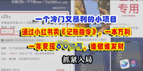 一个冷门需求，通过小红书卖《记账指令》，一本万利，谁做谁发，抓紧入局-8U创业网