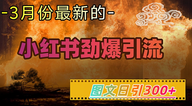 小红书超劲爆引流手段，图文日引300+轻松变现1W-8U创业网