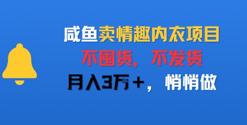 咸鱼卖情趣内衣项目，不囤货，不发货，月入3W+，悄悄做-8U创业网