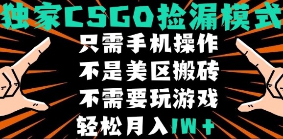CSGO自动捡漏项目，最新独家玩法，不是美区搬砖，不需要了解和玩游戏，新手小白轻松月入1W+【揭秘】-8U创业网