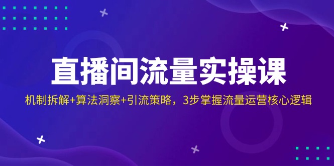 （14122期）直播间流量实操课：机制拆解+算法洞察+引流策略，3步掌握流量运营核心逻辑-8U创业网