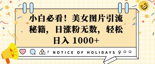 小白必看，美女图片引流秘籍，日涨粉无数，轻松日入几张【揭秘】-8U创业网