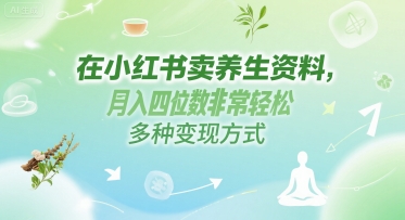 在小红书卖养生资料，月入四位数非常轻松，多种变现方式-8U创业网