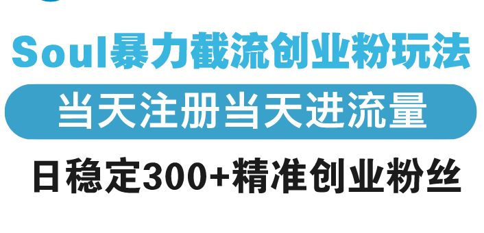 Soul暴力截流创业粉玩法，当天注册当天进流量，日稳定300+精准创业粉丝-8U创业网