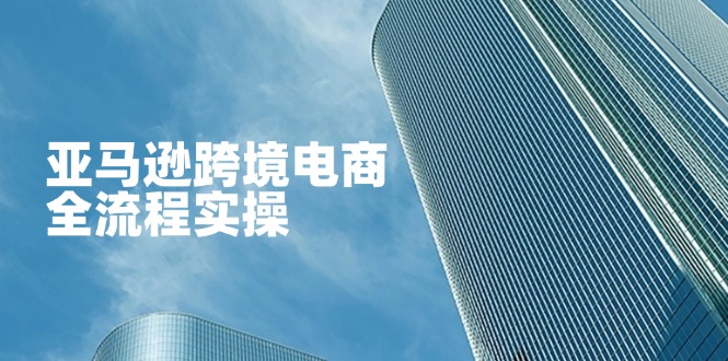 （14252期）亚马逊跨境电商全流程实操，教你从零开始，掌握店铺运营与广告技巧-8U创业网