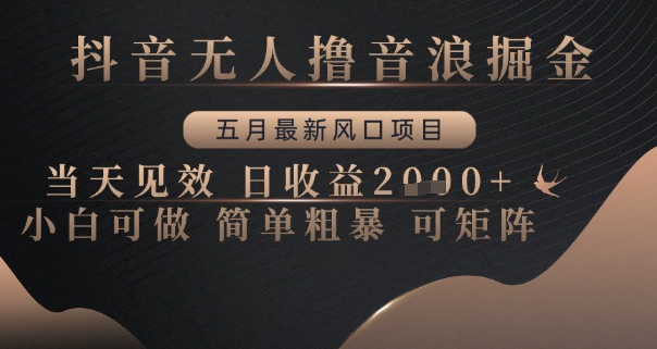 抖音无人撸音浪掘金，五月最新风口项目，当天见效，日收益多张，小白可做简单粗暴可矩阵【揭秘】-8U创业网