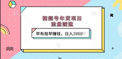 视频号年货项目，流量贼猛，早布局早挣钱，日入上k【揭秘】-8U创业网
