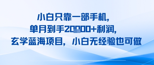小白只靠一部手机，单月到手2W+利润，玄学蓝海项目，小白无经验也可做-8U创业网