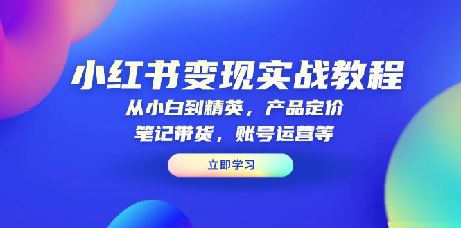 小红书变现实战教程：从小白到精英，产品定价，笔记带货，账号运营等-8U创业网