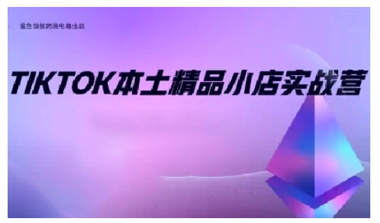 TikTok本土精品小店出海实战营，从入门到高阶，不止0-1!-8U创业网
