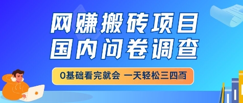 网创搬砖项目，国内问卷调查，小白轻松上手，一天三四张的也不难，干就完了【揭秘】-8U创业网