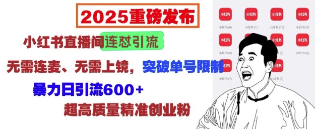2025重磅发布：小红书直播间连怼引流，无需连麦、无需上镜，突破单号限制，暴力日引流600+-8U创业网