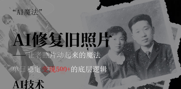 AI 魔法：让泛黄旧照变成朋友圈爆款视频，私域转化率提升50%，单日变现5张-8U创业网