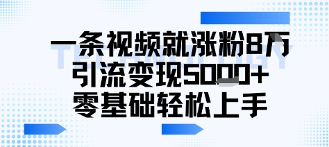 一条视频就涨粉8W引流变现5k+，0基础项目轻松上手-8U创业网