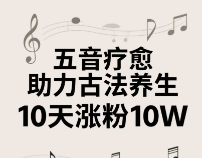 古法五音养生教程，五音疗愈的视频的制作方法，2-4小时就能学会，作者10天涨粉10W-8U创业网