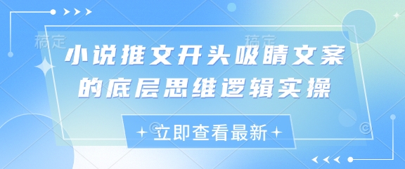 小说推文开头吸睛文案的底层思维逻辑实操-8U创业网