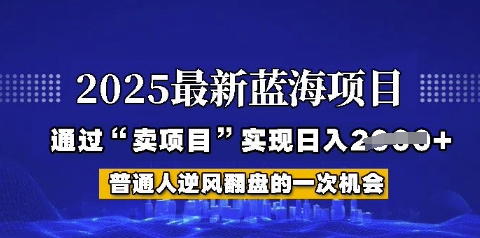 2025年首次揭秘如何通过“网创项目”日入多张【揭秘】-8U创业网