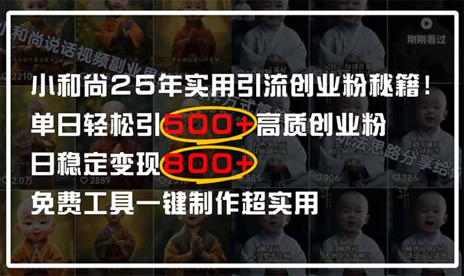 （14436期）小和尚2025年实用引流秘籍！单日轻松引500+高质量创业粉，日变现800+，…-8U创业网