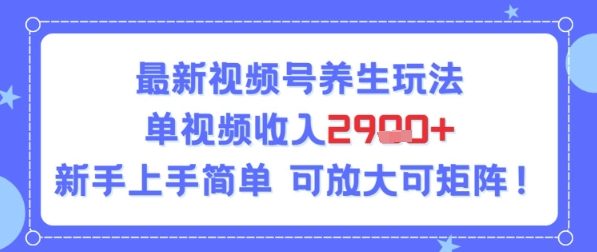 视频号养生玩法，单视频收入2.9k，新手上手简单-8U创业网