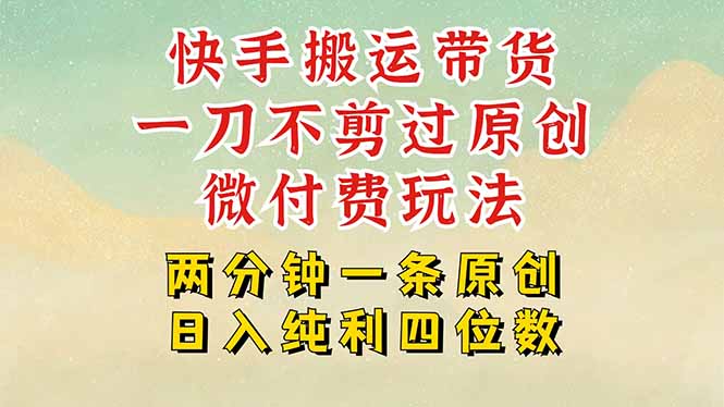 （15577期）快手黑科技搬运带货，一刀不剪过原创，微付费投流玩法，轻松日入四位数…-8U创业网
