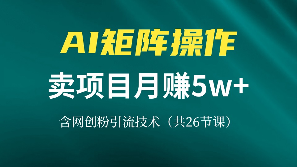 网创IP打造课，借助AI卖项目月赚5万+，含引流技术(共26节课-8U创业网