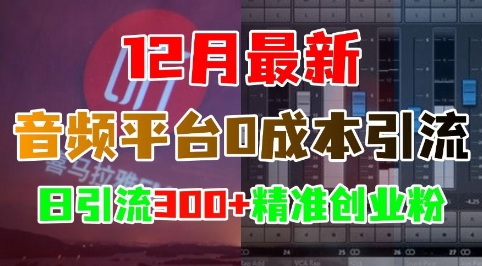 12月最新：音频平台0成本引流，日引流300+精准创业粉-8U创业网