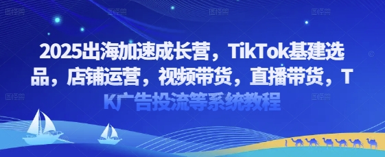 2025出海加速成长营，TikTok基建选品，店铺运营，视频带货，直播带货，TK广告投流等系统教程-8U创业网
