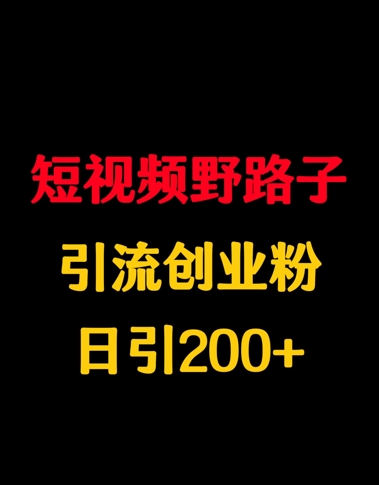 短视频野路子引流创业粉，日引200+-8U创业网