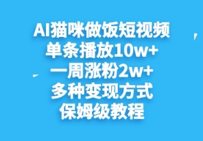 AI猫咪做饭短视频，单条播放10w+，一周涨分2w+，多种变现方式，保姆级教程-8U创业网