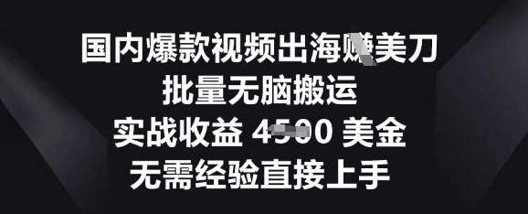国内爆款视频出海挣美刀，批量无脑搬运，实战收益4.5k，无需经验直接上手-8U创业网
