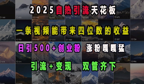 2025自热引流天花板，一条视频能带来四位数的收益，引流+变现双管齐下，日引500+创业粉，涨粉嘎嘎猛-8U创业网