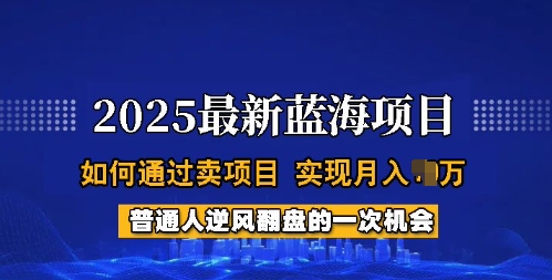 2025蓝海项目，普通人如何通过卖项目，实现月入过W，全过程【揭秘】-8U创业网