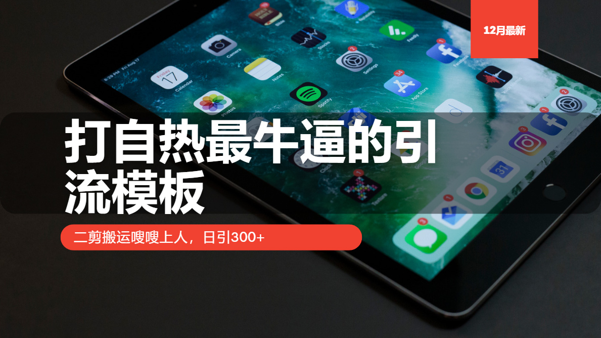 打自热最牛逼的引流模板，二剪搬运嗖嗖上人，日引300+-8U创业网