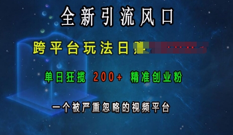 全新引流风口，跨平台玩法日入上k，单日狂揽200+精准创业粉，一个被严重忽略的视频平台-8U创业网