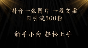 每天2分钟，抖音一张图片 一段文案日引流500粉-8U创业网