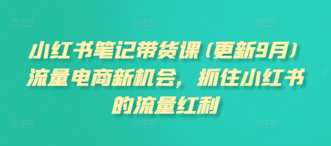 小红书笔记带货课(更新25年1月)流量电商新机会，抓住小红书的流量红利-8U创业网