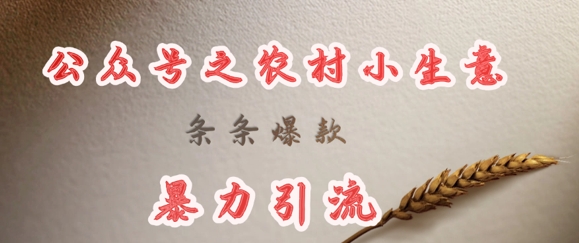 deepseek写农村小项目，条条爆款，暴力引流-8U创业网