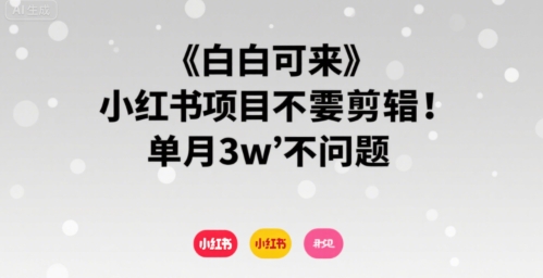 小白可来 小红书项目不需要剪辑 单月3w不是问题-8U创业网
