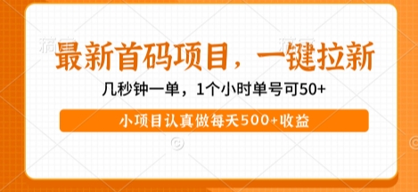 最新首码项目，操作最简单，收益高，一键拉新，1个小时单号可50+，小项目认真做每天5张+收益【揭秘】-8U创业网