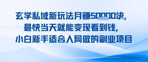 玄学私域新玩法月入1W+，最快当天就能变现看到米，小白新手适合入局做的副业项目-8U创业网