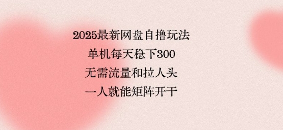 2025最新网盘自撸玩法，单机每天稳下3张，无需流量和拉人头，一个人就可轻松矩阵，全网独一份【揭秘】-8U创业网