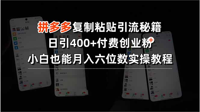 （15613期）拼多多复制粘贴引流秘籍，日引400+付费创业粉，小白也能月入六位数实操…-8U创业网