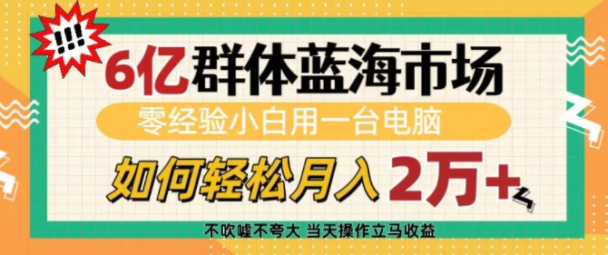 6亿群体蓝海市场，零经验小白用一台电脑，如何轻松月入过w【揭秘】-8U创业网